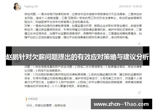 赵鹏针对欠薪问题提出的有效应对策略与建议分析