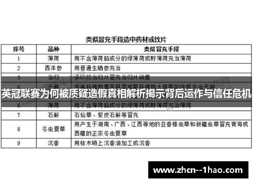 英冠联赛为何被质疑造假真相解析揭示背后运作与信任危机