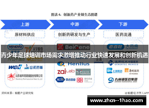 青少年足球培训市场需求激增推动行业快速发展和创新机遇 青少年足球培训市场需求激增推动行业快速发展和创新机遇