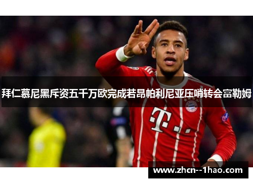 拜仁慕尼黑斥资五千万欧完成若昂帕利尼亚压哨转会富勒姆